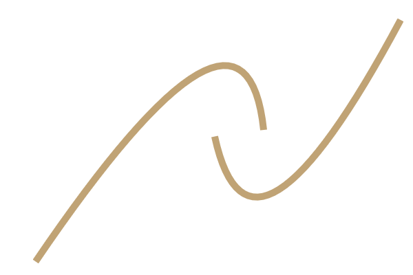 Roldfire Capital logo
